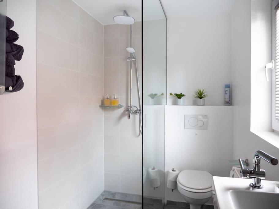 Slovenia + Freeparking & Bikes Apartment *